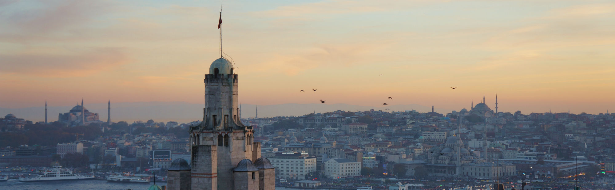 Victoria University of Wellington