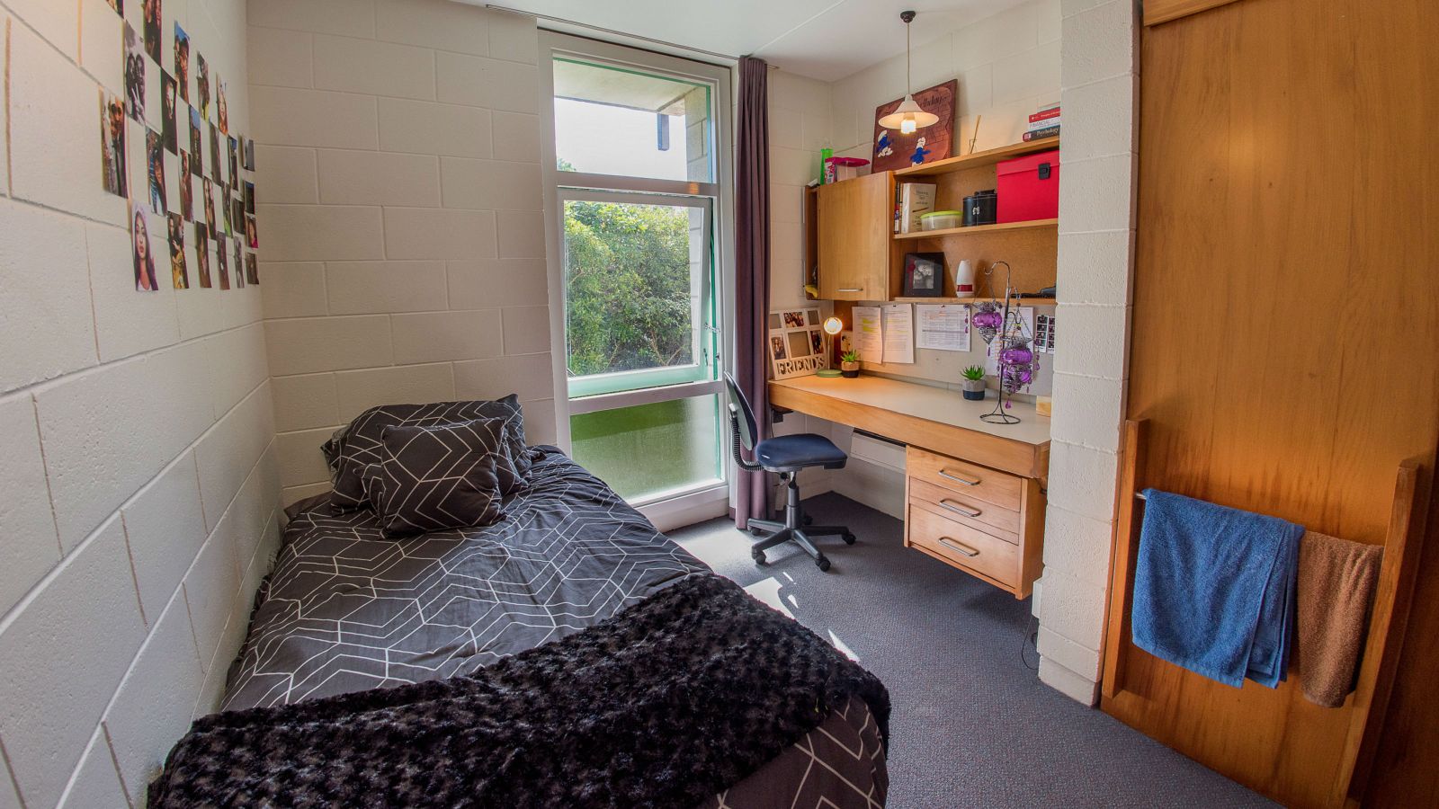 Single bedroom in Helen Lowry Hall. A sinlge bed with a desk a large window and closed wardrobe. 