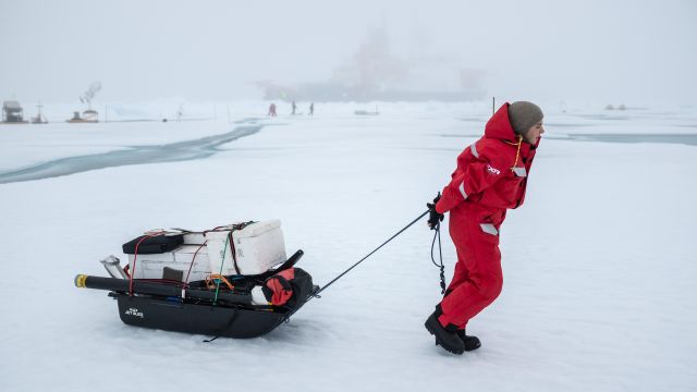 Ruzica Dadic pulling the sled of equipment in the Arctic