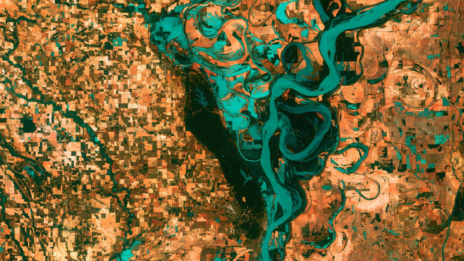 Satellite photo of landscape with small, blocky, brown shapes of towns, fields, and pastures surround the bright green swirls and whorls of the Mississippi River. 