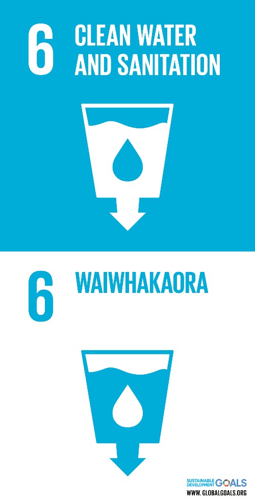 A blue and white graphic logo of water draining out of a container for the UN SDG 6: clean water and sanitation - in both English and te reo Maori