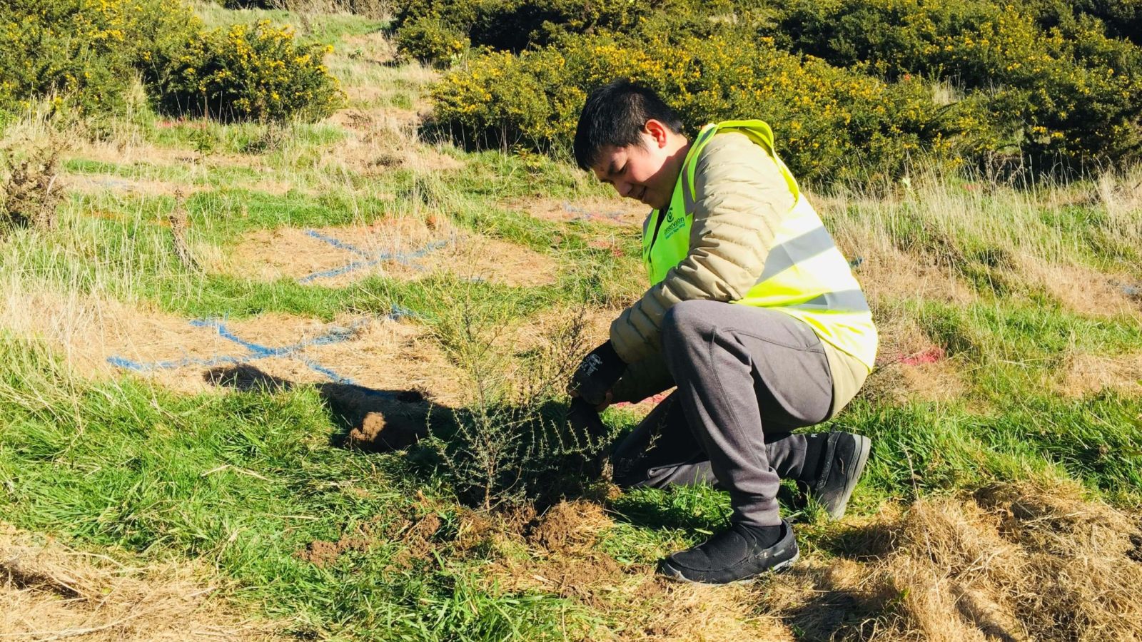 Student planting native tree