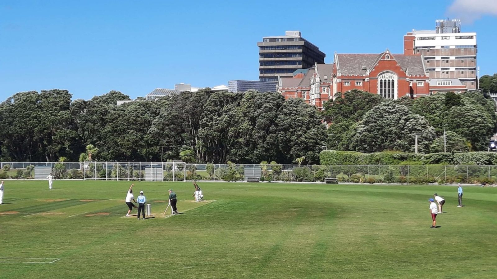 Cricket field and players in Kelburn park, with Hunter building in the background.