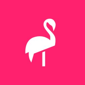 Flamingo Scooter Logo