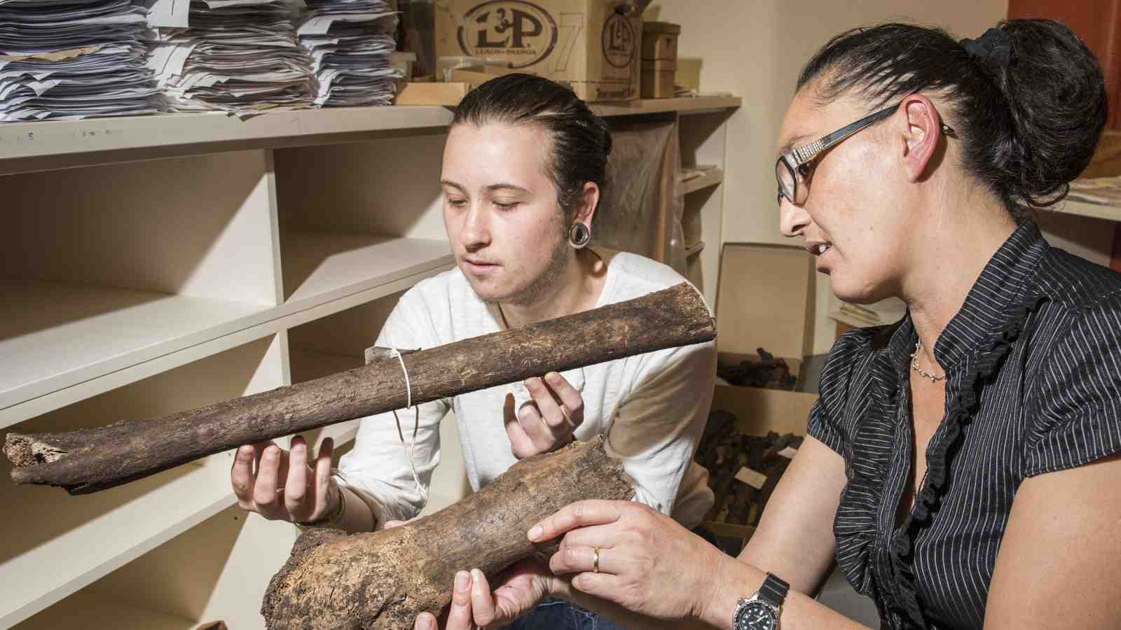 Māori Studies students Teina Tutaki and Lydia Torr take a closer look at the moa bones they helped excavate.