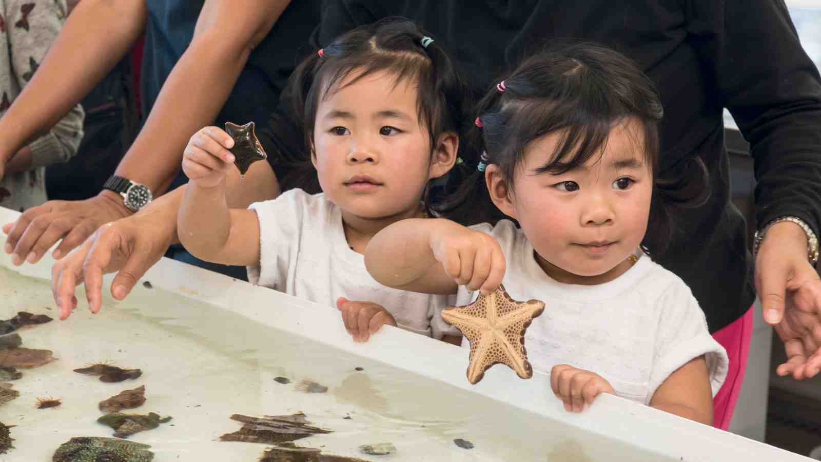 Children enjoying the open day at the Victoria University Coastal Ecology Laboratory