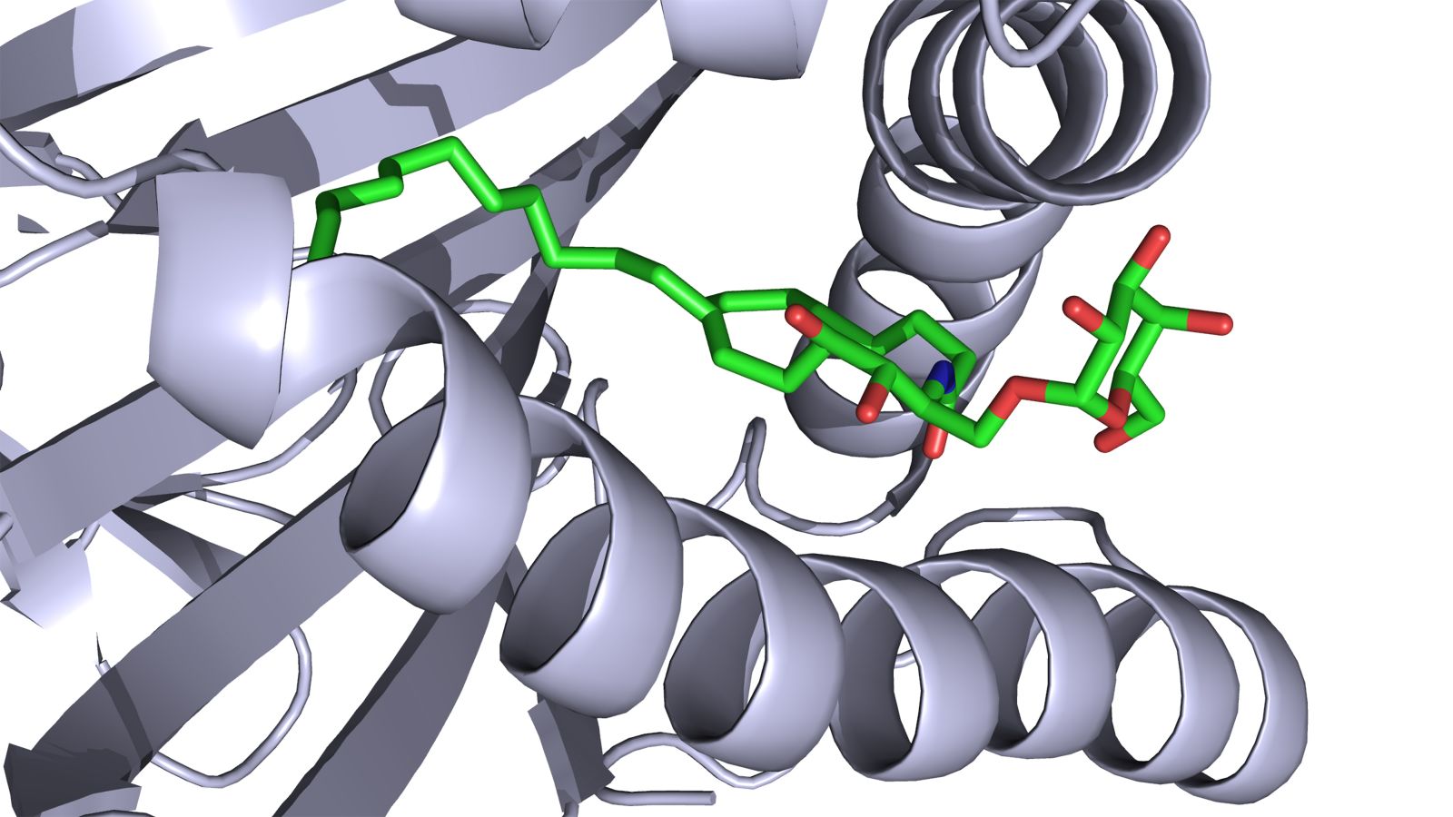 Computer graphic of an adjuvant in mouse protein.