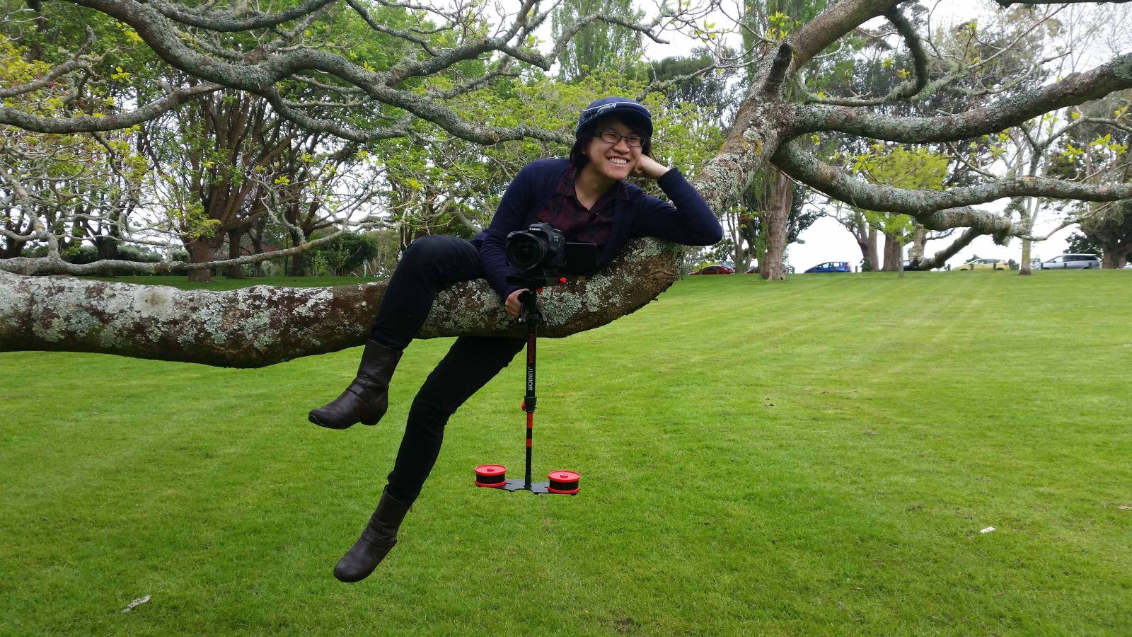 Michelle Kan from Fish and Swallow, perched in a tree holding a camera.