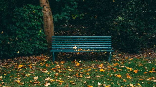 A park bench