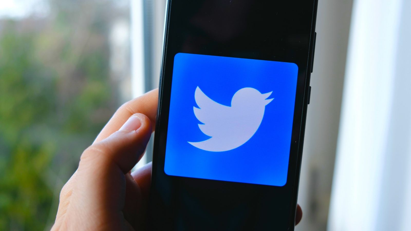 A hand holding a cellphone with the Twitter logo on the screen
