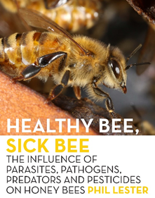 Healthy Bee Poster