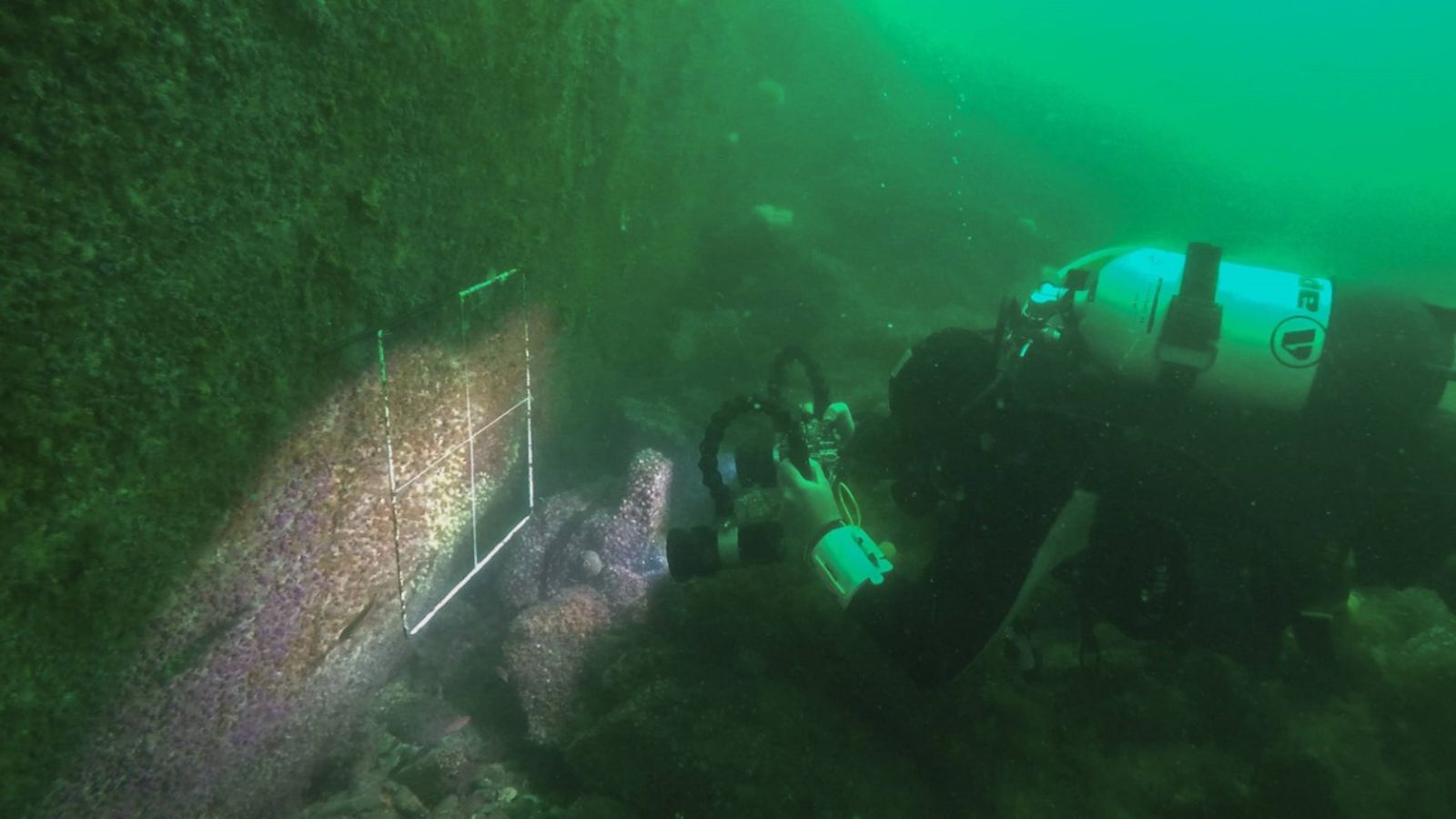 Valerio Micaroni conducting surveys of the underwater cliffs