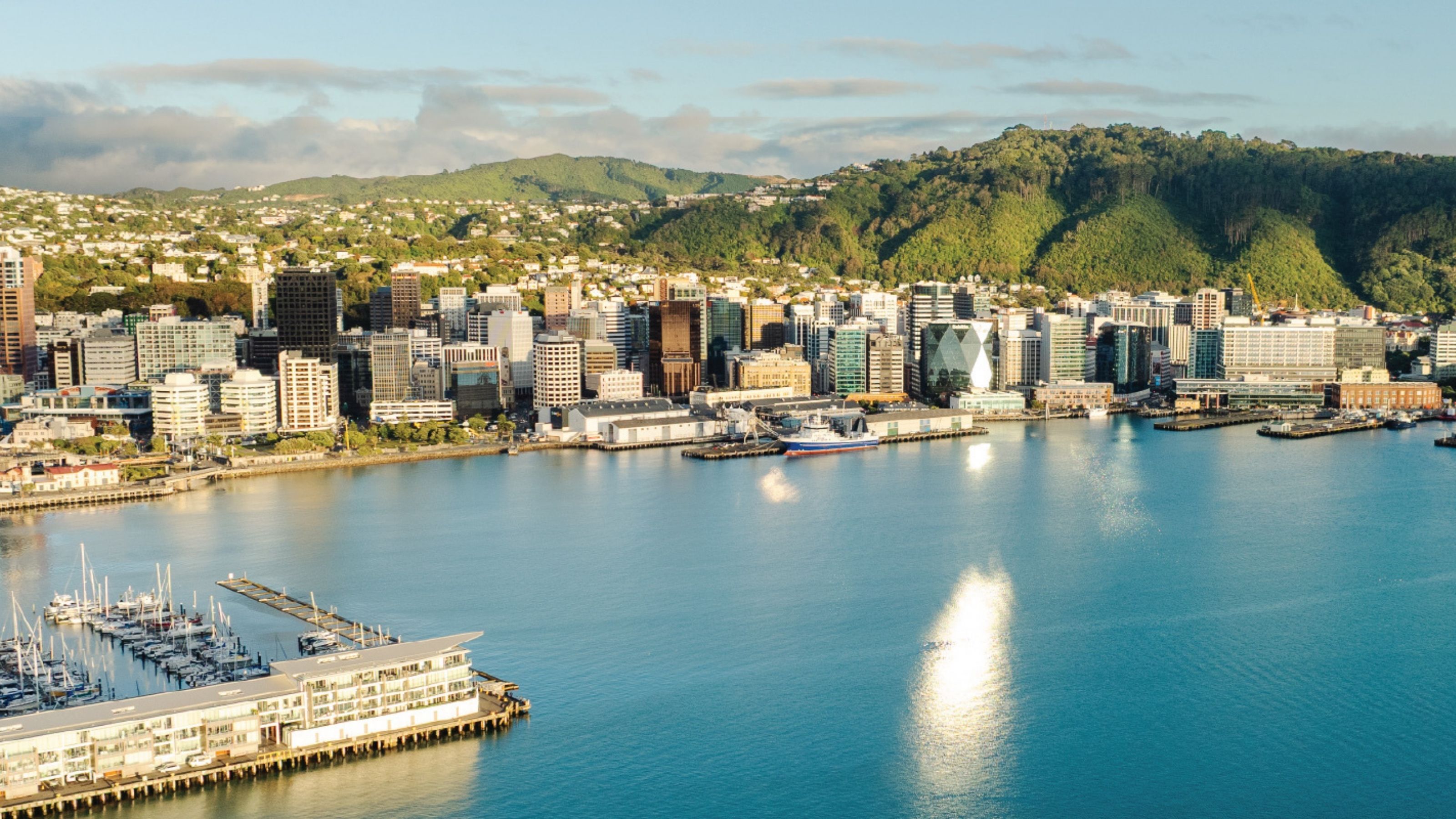 Aerial view of Wellington waterfront