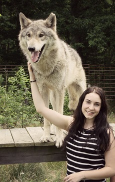 Dina and one of the rescue wolves in New 
  Jersey - these animals will never be reintroduced into the wild.
