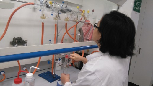 Putri using the Schlenkline.