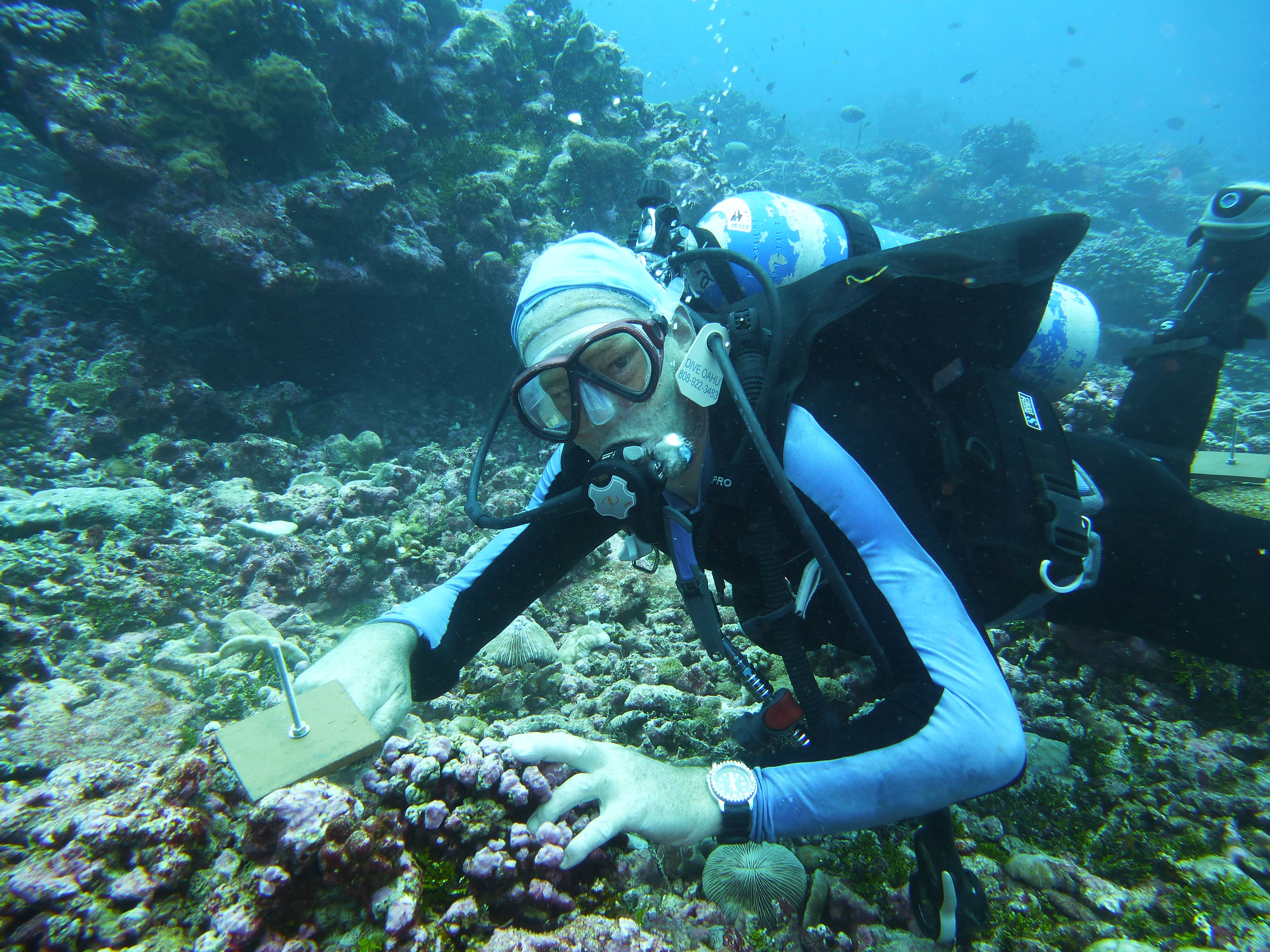 Fieldwork in Palmyra