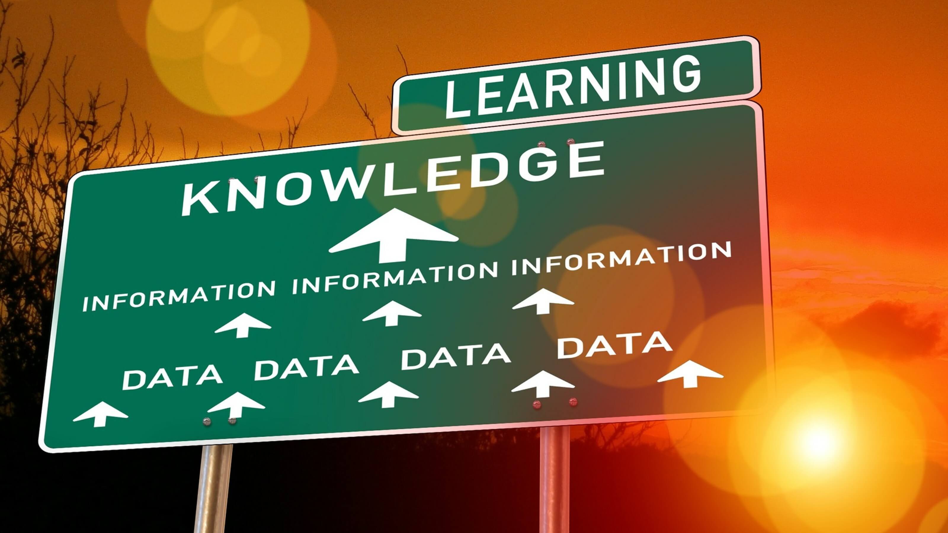 A digitally illustrated sign, that looks like a green road sign – with words that read “Learning, Knowledge, Information (x3) and Data (x4)”.