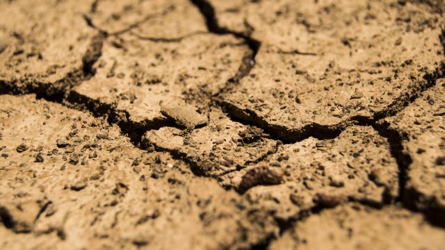 Dry dirt in drought.