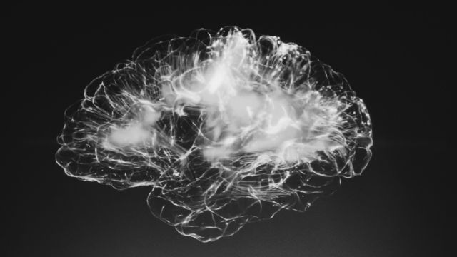 An abstract xray image of the brain.