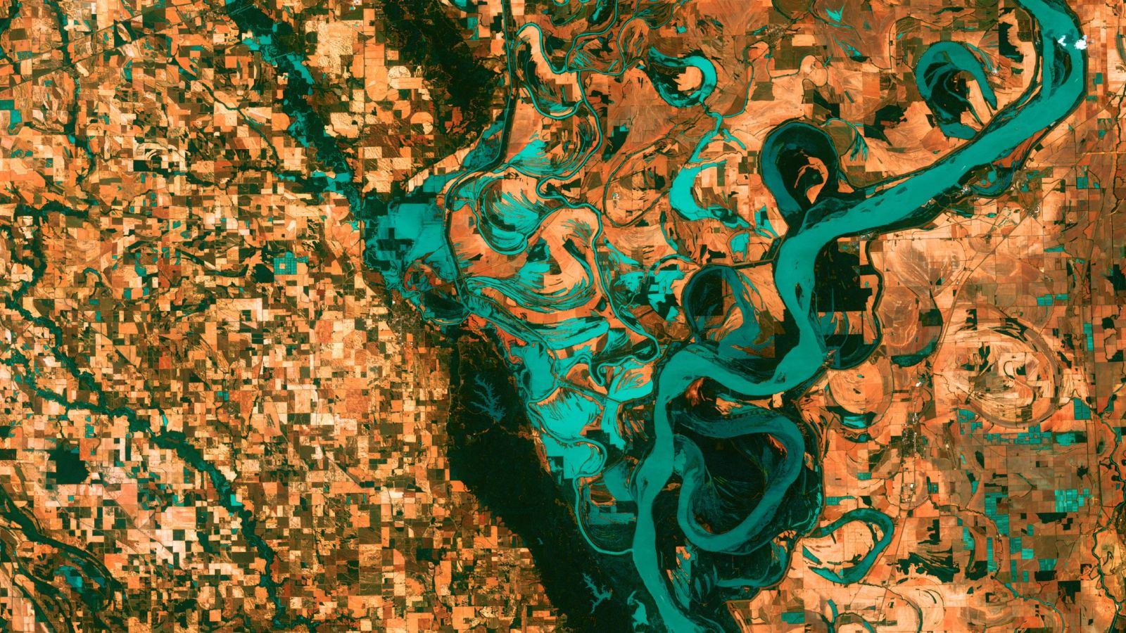 Satellite view of bright green Mississippi River and brown, blocky landscape, Photo: USGS, Unsplash.