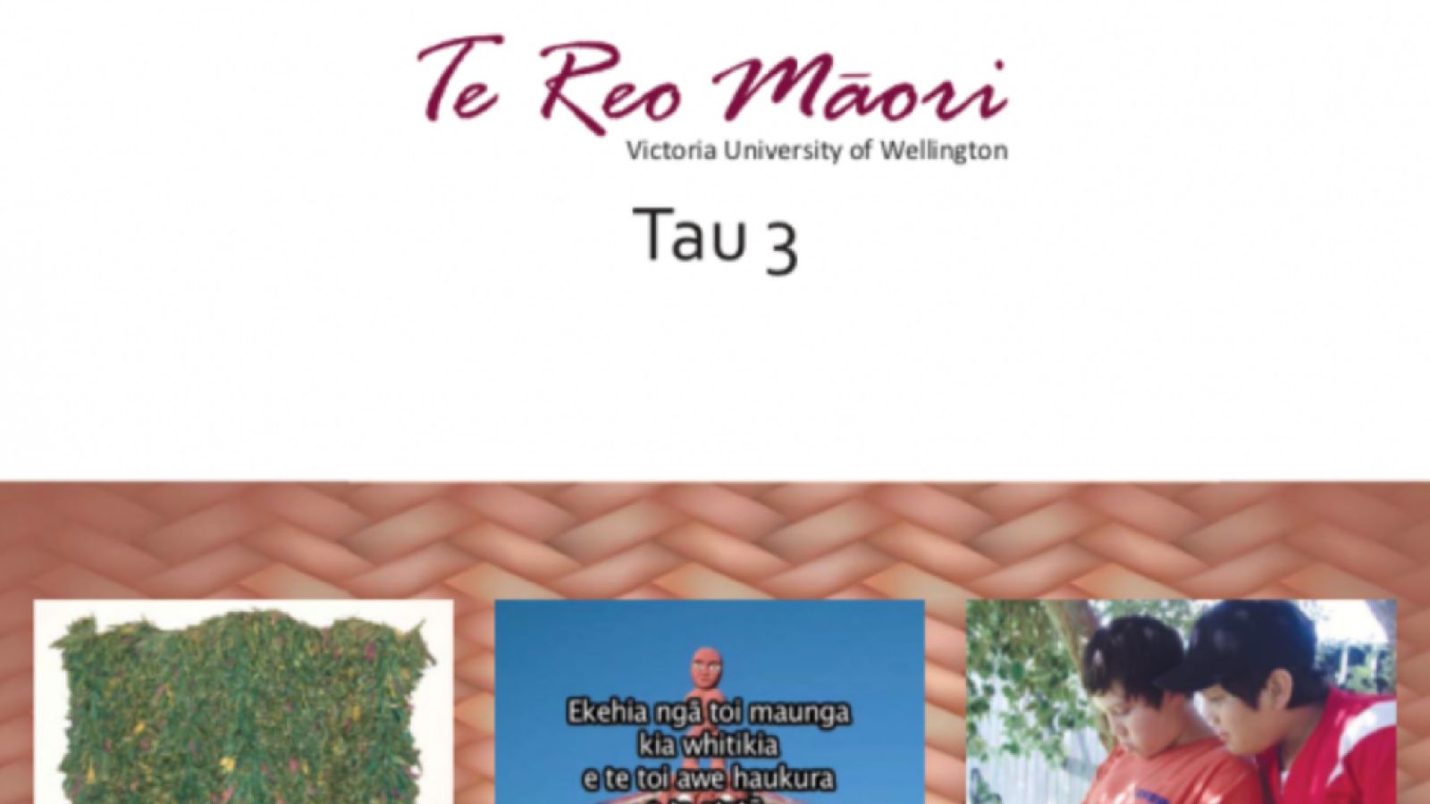 Te reo Māori e-book with three images on the front: one is a green bush with yellow flowers, the second is a photo of the tekoteko on top of a marae, and the third is of two boys looking down at something we cannot see.