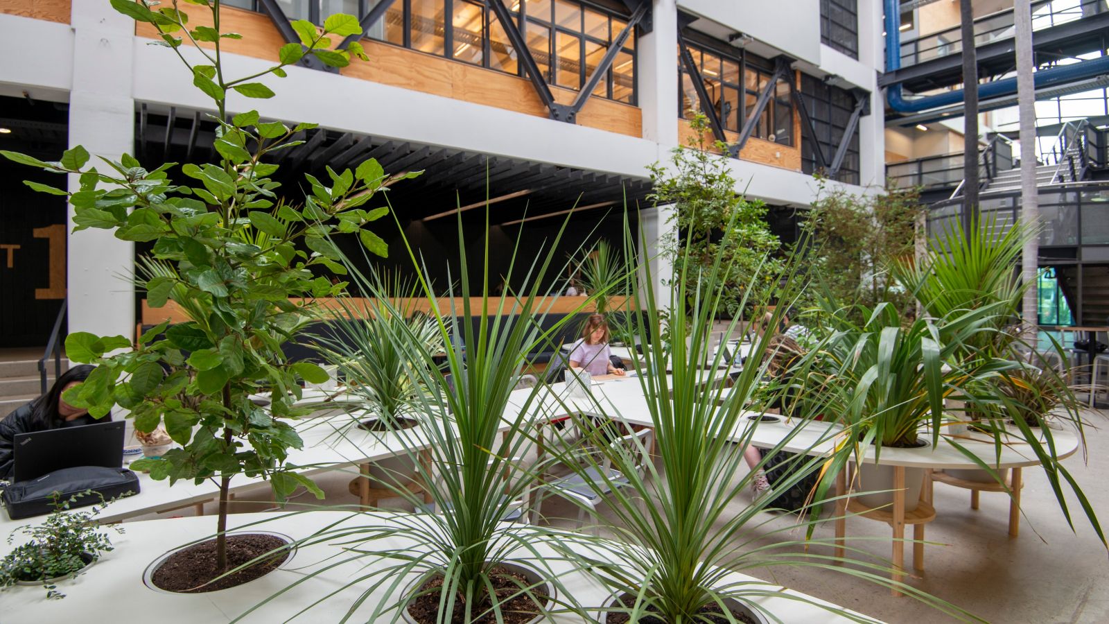 Plant filled atrium at Te Aro campus