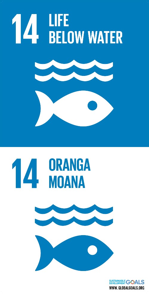 A blue and white graphic logo of a fish below waves of water for the UN SDG 14: life below water - in both English and te reo Maori