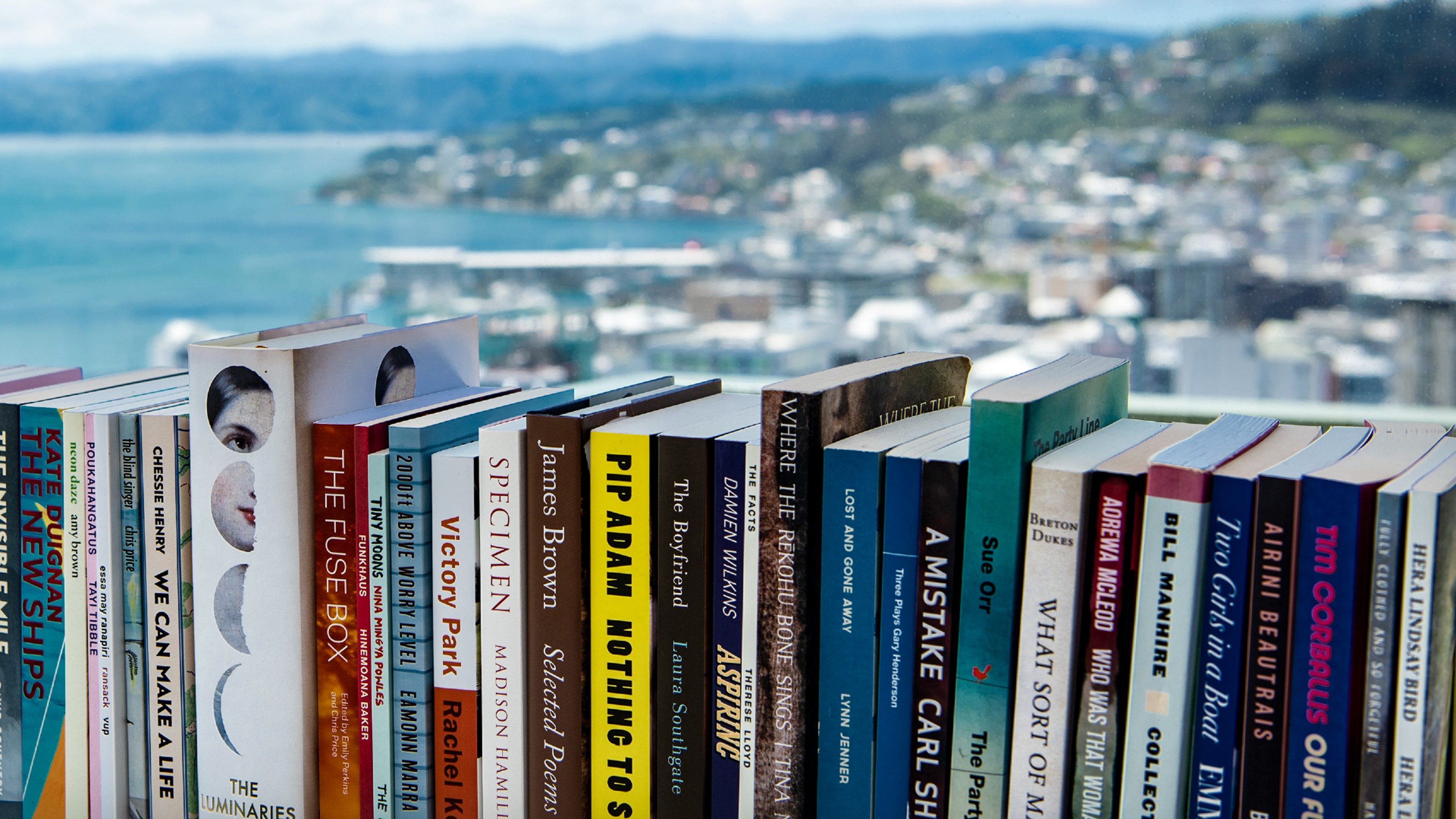 Books arranged neatly in front of a picturesque view of Wellington harbour.