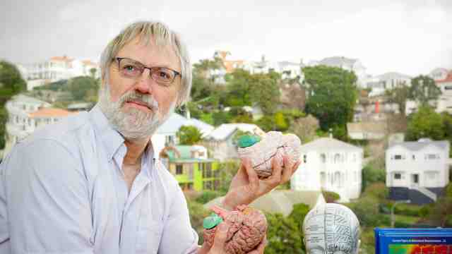 Professor Bart Ellenbroek holds a model brain in each hand.