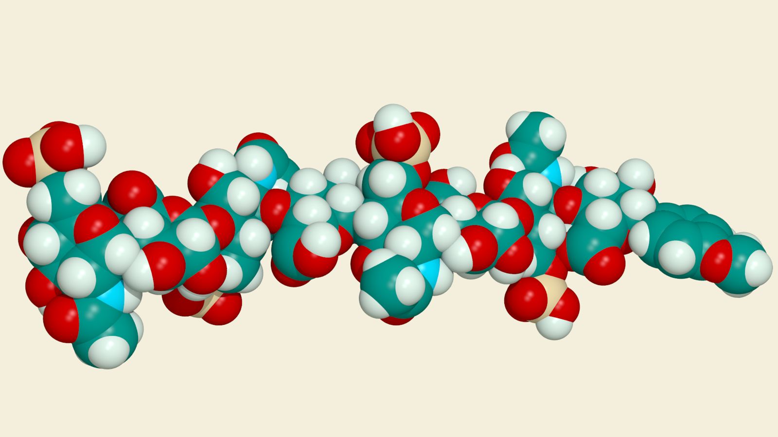 A computer graphic of the heparan sulfate structure.