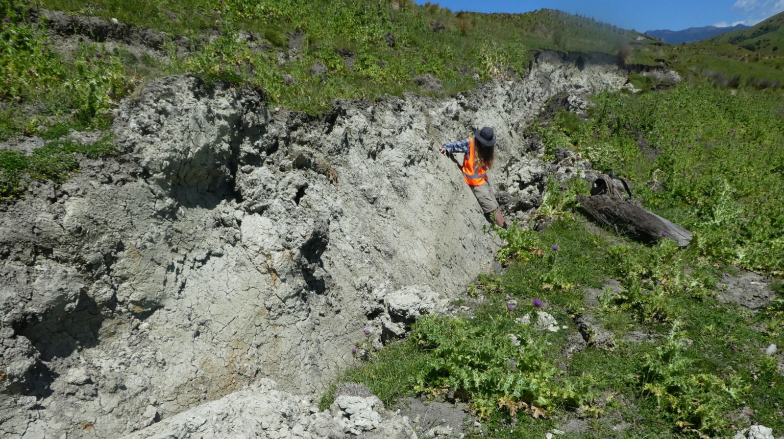 Jesse leaning against the fresh fault scarp of the Kekerengu fault, next to some of the curved slickenlines. Photo by Professor Tim Little.