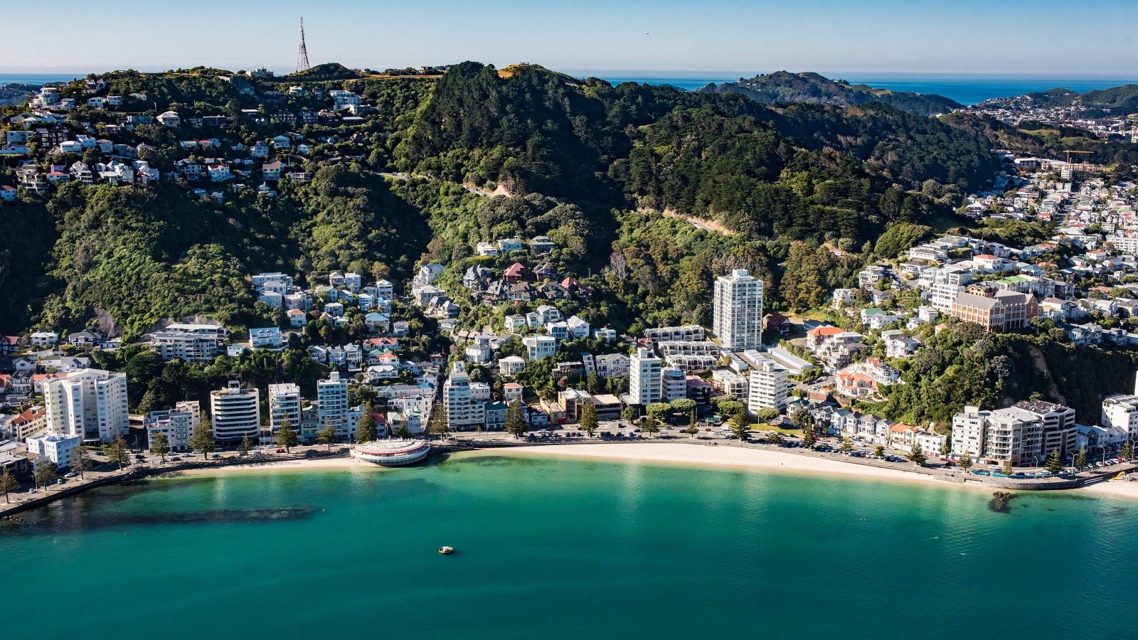 Oriental bay 