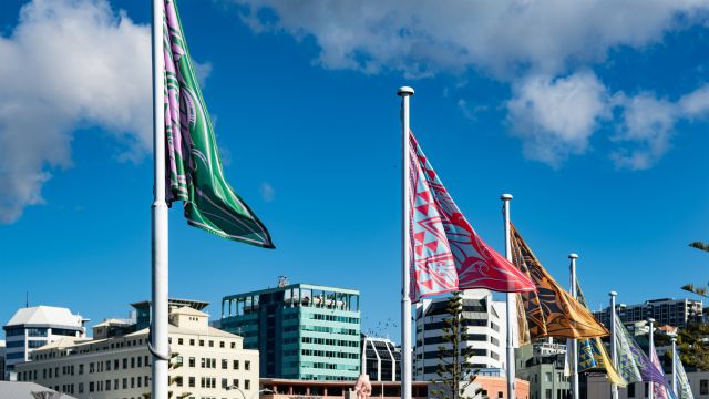 Colourful matariki flags designed by David Hakaraia flying in Frank Kitts Park with Wellington City in the background