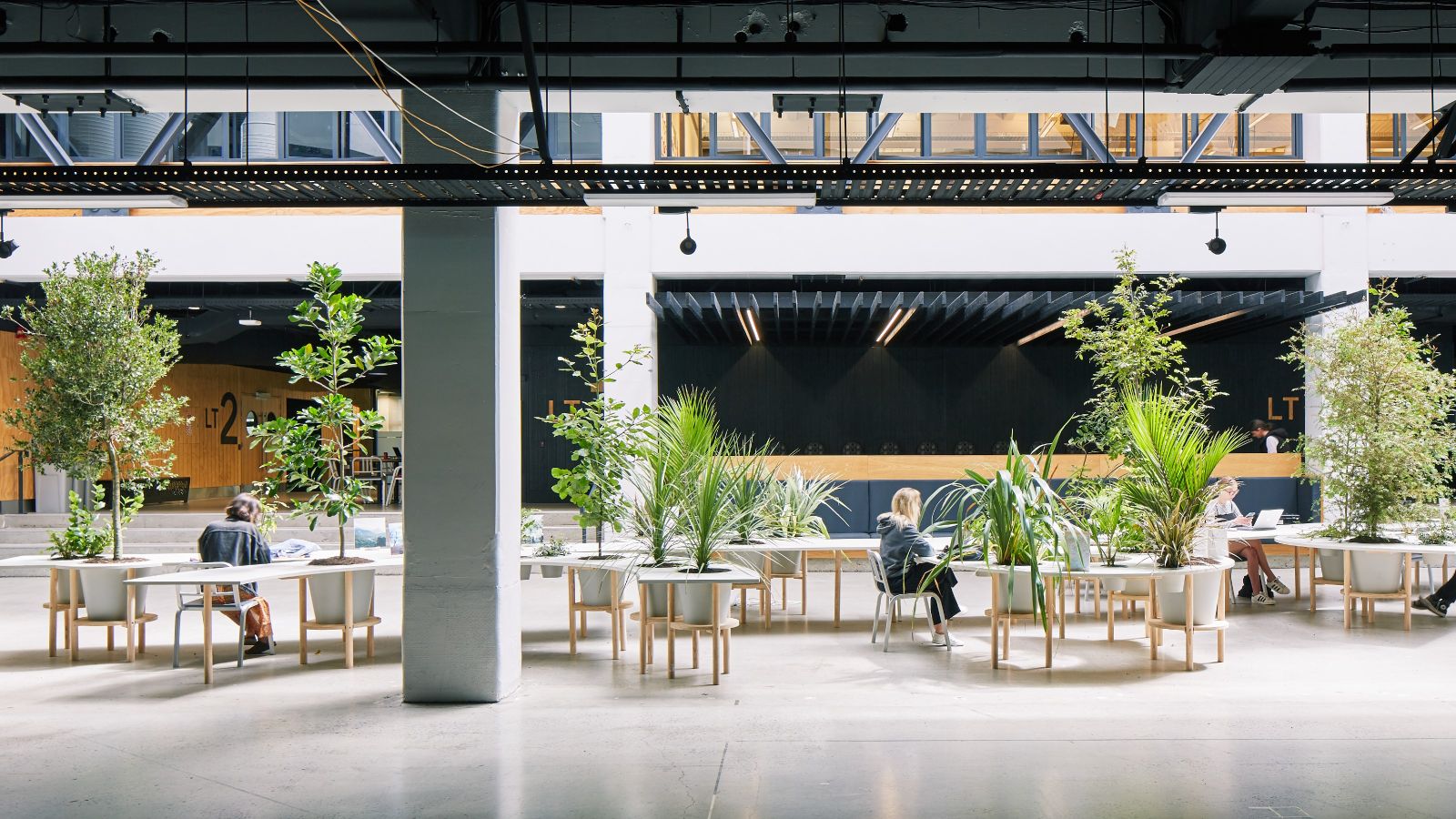 Atrium of Te Aro campus with tree table installation by Klaus Klass Loenhart