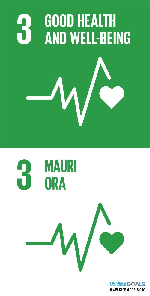 A green and white graphic logo of an electrocardiogram and heart for the UN SDG 3: good health and well-being - in both English and te reo Maori