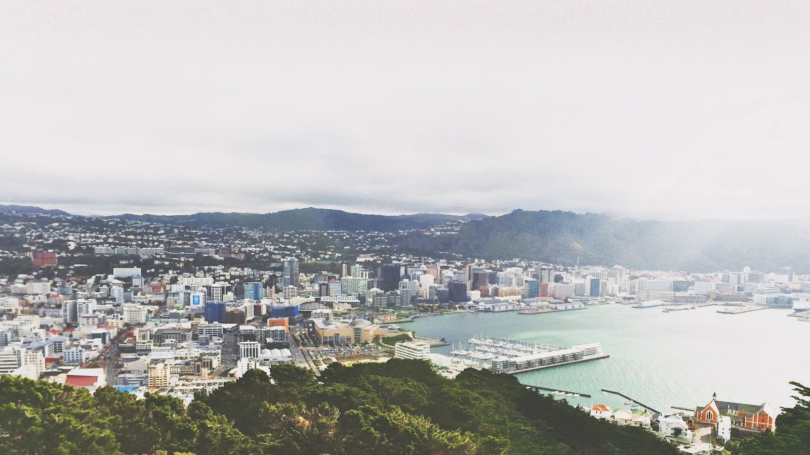 A view of Wellington city taken from Mt. Victoria.