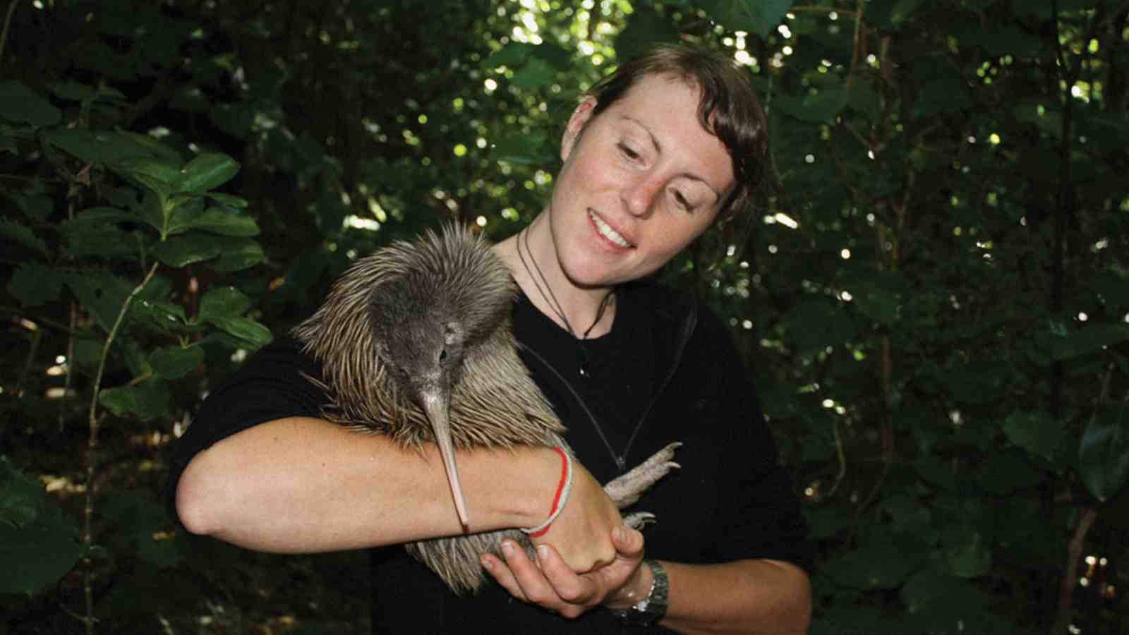 Rachael Abbott holding a rowi, the rarest species of kiwi.