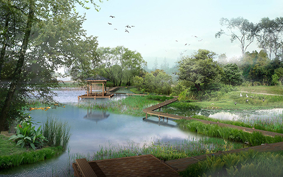 One of the designs for Featherston Landscape Architecture