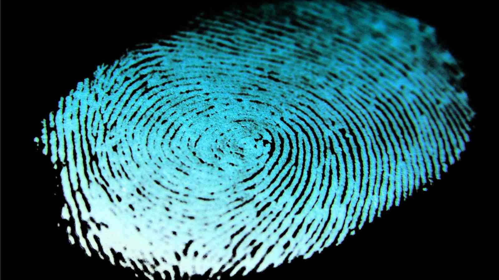 An x-rayed thumbprint