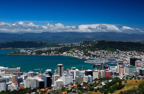 Wellington city