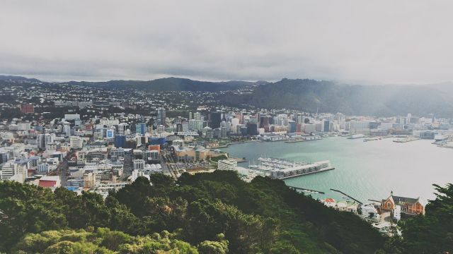 Wellington CBD seen from Mount Victoria