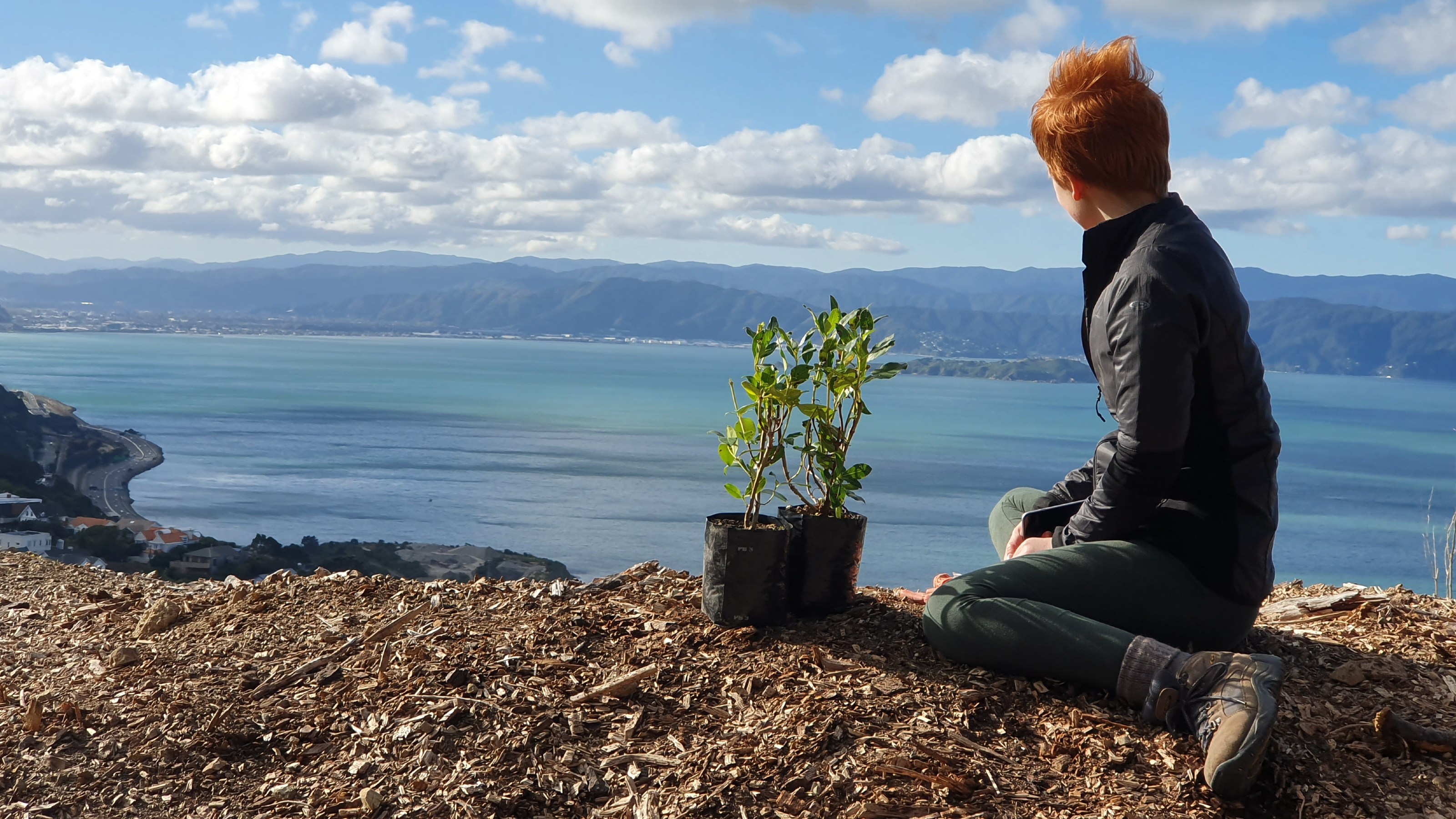 A redheaded boy with a small plant at his side sits atop a barren hill overlooking Wellington harbour 