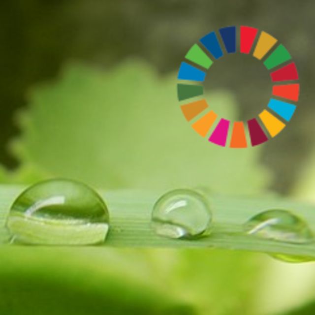 Foreground containing close up of water droplets on a horizontal green leaf spanning the full view. Background contains out of focus green vegetation. United Nations Sustainable Development Goals logo circle of 17 multi-coloured segments is superimposed at the top right.