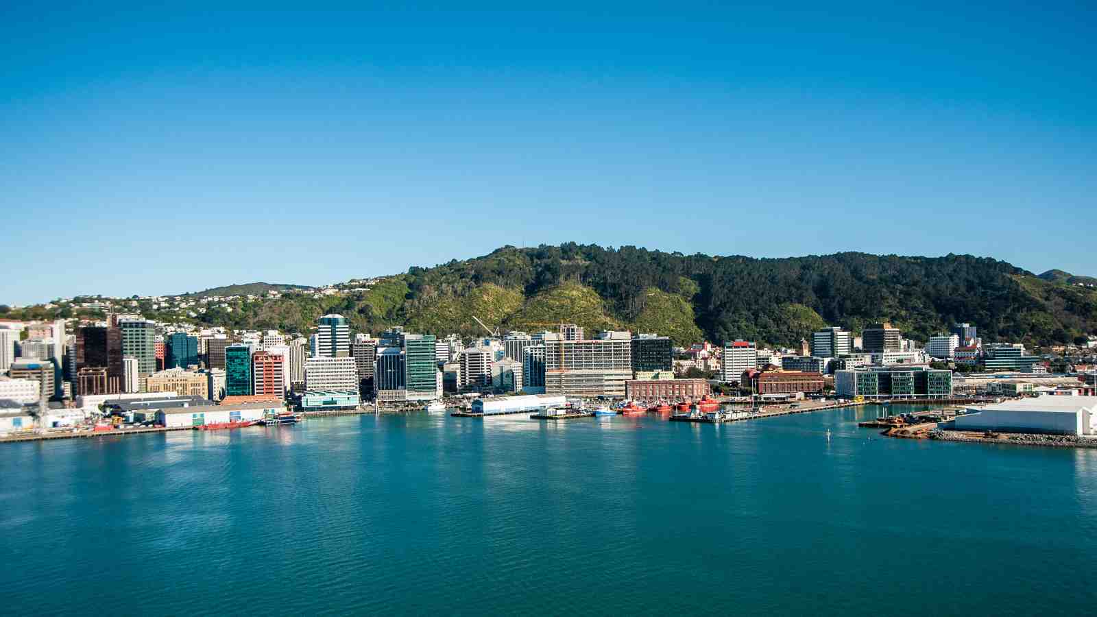 Wellington's waterfront on a sunny day