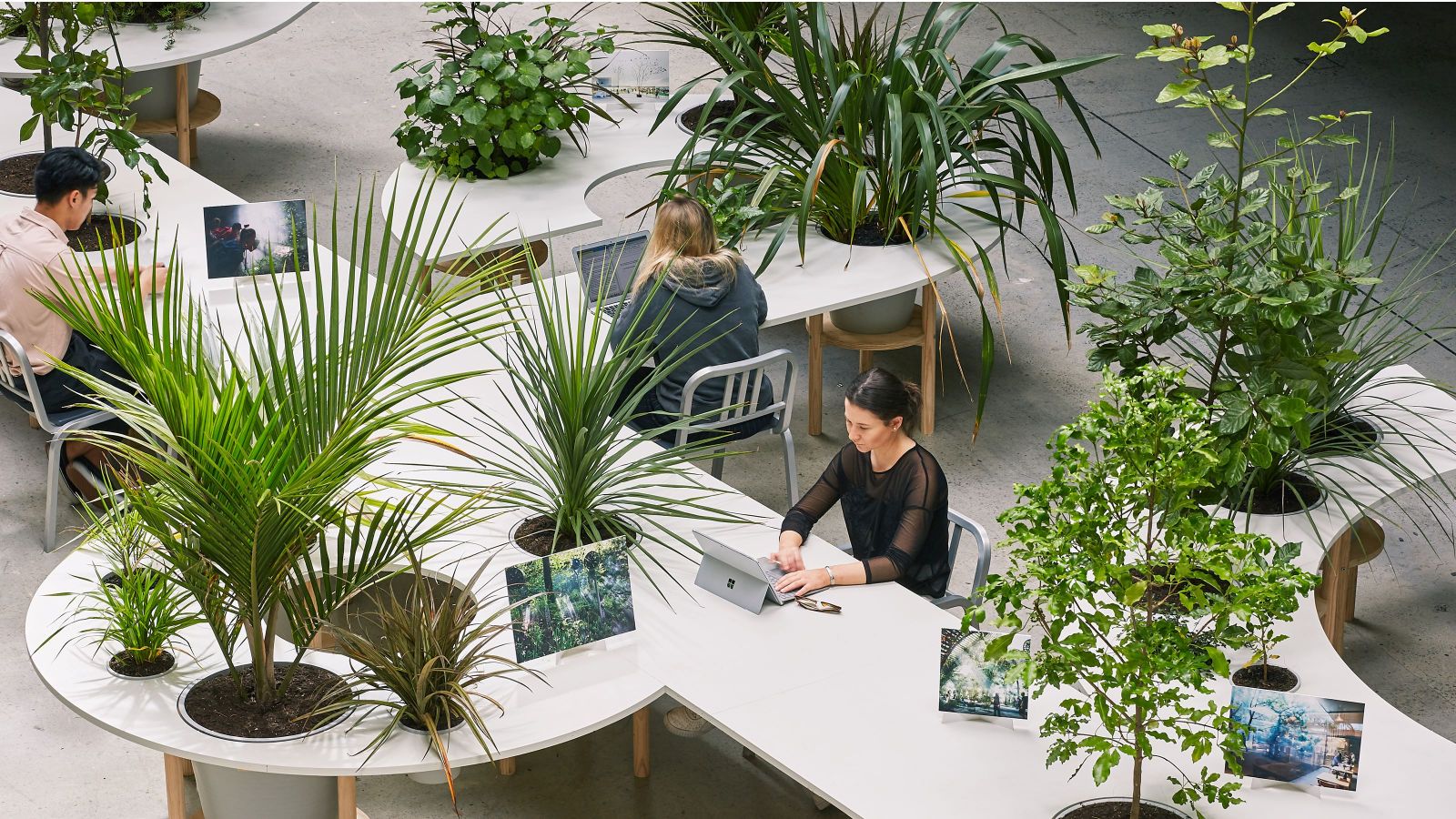 A girl sits at a desk in the Atrium at Te Aro campus surrounded by ferns and trees.