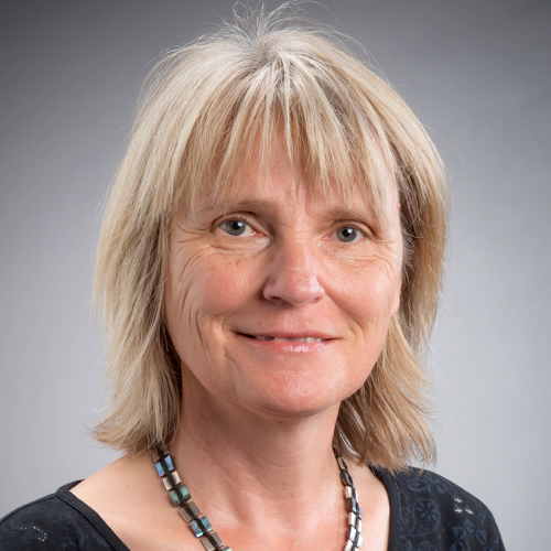 Prof Brigitte Bonisch-Brednich profile-picture photograph