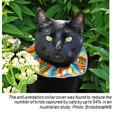 Birdsbesafe Cat Collar Cover