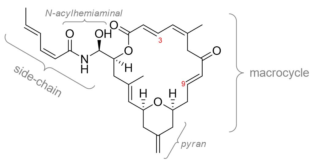Zampanolide – Molecular structure.