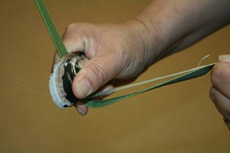 Extracting flax fibres (muka) from a leaf with a mussel shell.