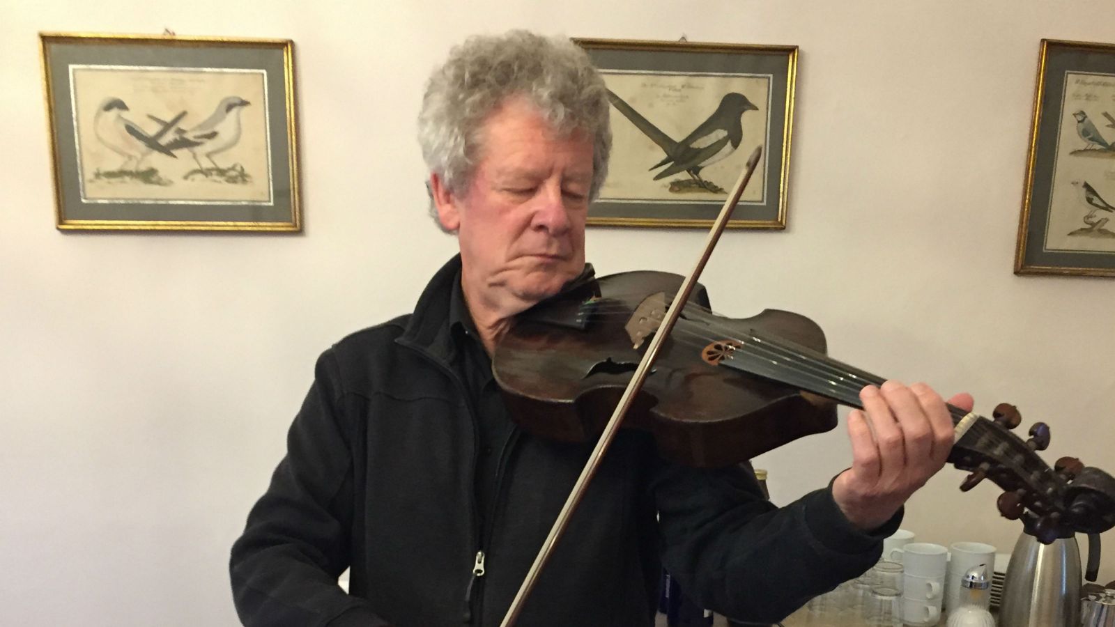 Donald Maurice - playing the actual viola d'amore that was used to perform these concertos nearly 300 years ago.